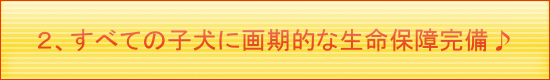 ２、無料で、画期的な生命保証完備。だから、安心！