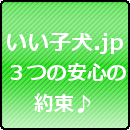 3�̈��S�̖�