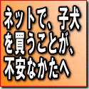 �l�b�g�ŁA�q���𔃂����Ƃ��A�s���Ȃ�����