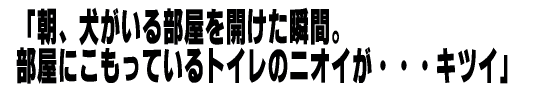 朝、犬がいる部屋のニオイがキツイ