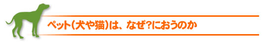 �y�b�g�̏��L