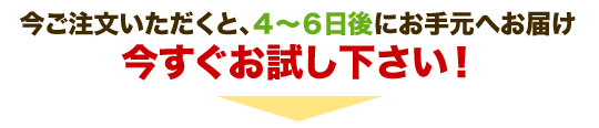 �y�b�g�̏��L