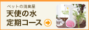 �V�g�̐� ����R�[�X