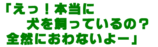�y�b�g�i���E�L�j�ɒ��ڂ����Ă����S�̏��L�܁@�V�g�̐�