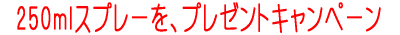 �v���[���g�L�����y�[��