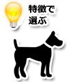 特徴で選ぶ