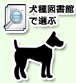 犬種図鑑で選ぶ