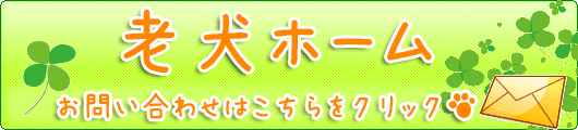 老犬ホーム