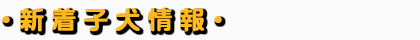 �V���q�����@�u���[�_�[�@�q�� �̔��Ȃ�A�����q��.jp