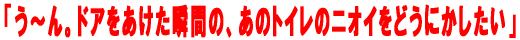 �Y����I�y�b�g�V�[�c�@�y�b�g�p�i�̔̔�