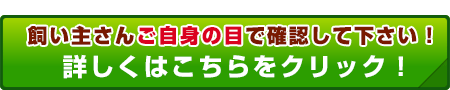 「ぺろっと元気ごはん」お試しセット