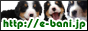 バーニーズマウンテンドッグの子犬販売の専門店　いいバーニーズマウンテンドッグ子犬.jp