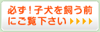 必ず！子犬を飼う前にご覧下さい